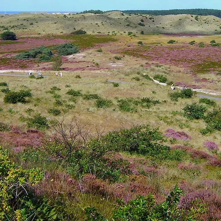 דירה Het Oude Atelier
