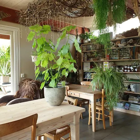 דירה Het Oude Atelier