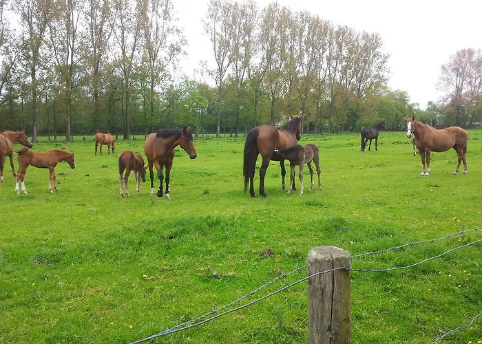 Lejlighed Het Oude Atelier *