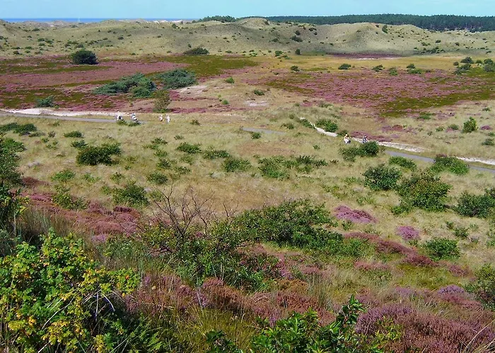 Lejlighed Het Oude Atelier