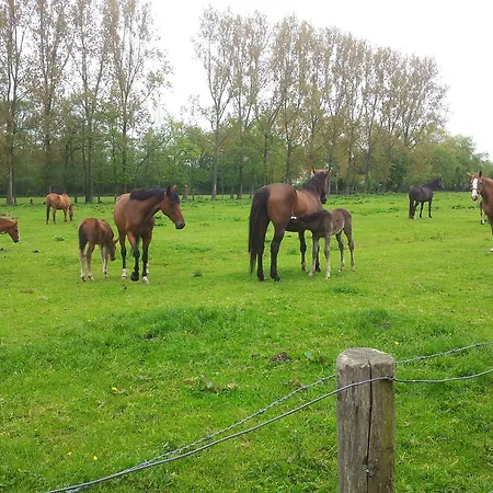 Lejlighed Het Oude Atelier *